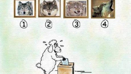 Râzi cu lacrimi! Cele mai tari bancuri despre alegeri