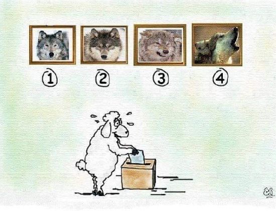 Râzi cu lacrimi! Cele mai tari bancuri despre alegeri