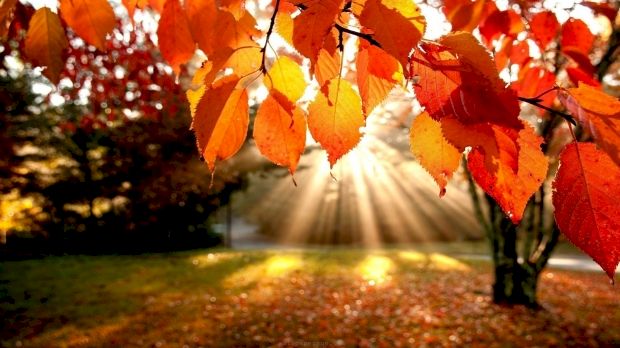 Prognoza METEO ANM, 11 septembrie. Vreme caldă și cer senin în aproape toată țara