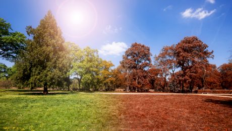Prognoza METEO ANM, 15 septembrie. Meteorologii anunță temperaturi de vară!