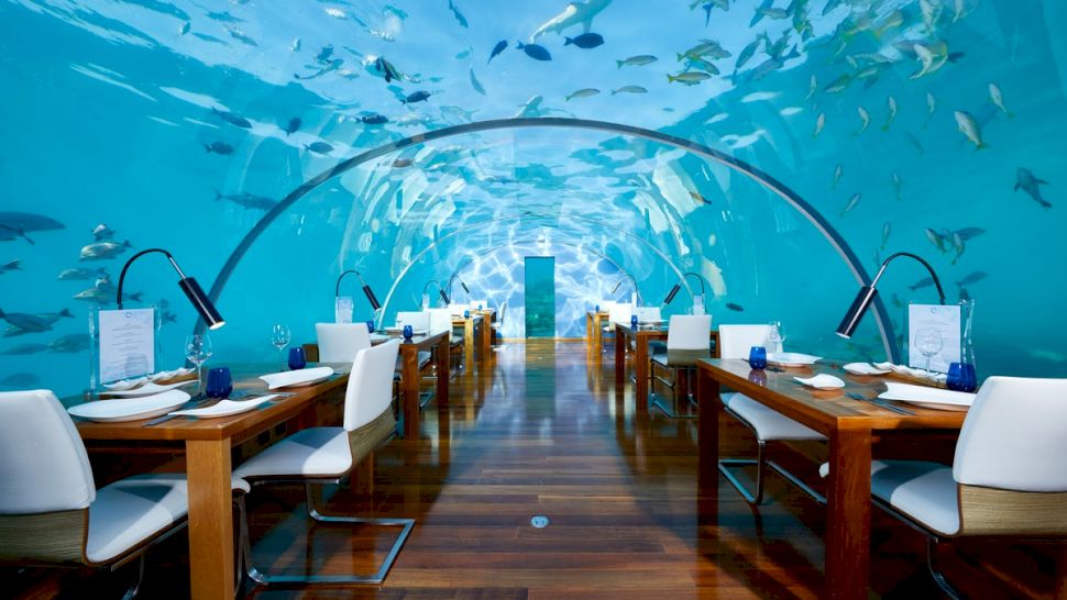 Top 10 cele mai scumpe restaurante din lume. Doar milionarii își permit să mănânce acolo