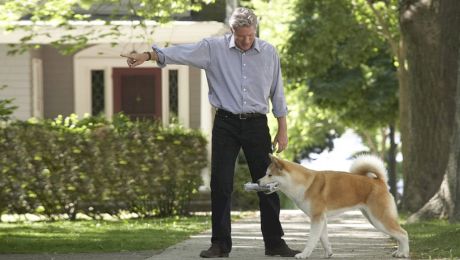 Cele mai bune 20 filme cu animale din toate timpurile