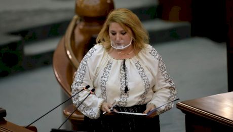 Ce salariu are Diana Șoșoacă în Guvernul României