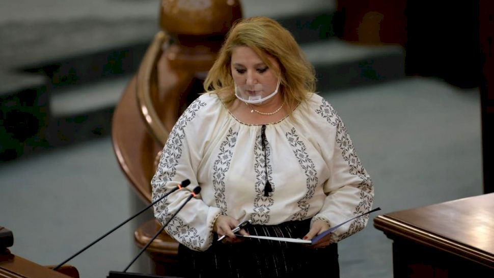 Ce salariu are Diana Șoșoacă în Guvernul României