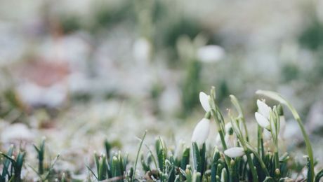 Când trebuie să-ți alegi babele pentru începutul lunii martie