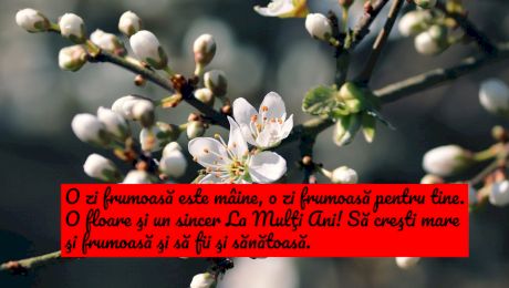 Cele mai frumoase urări în imagini de Florii. Mesaje de la mulți ani potrivite pentru Whatsapp și Messenger. FOTO