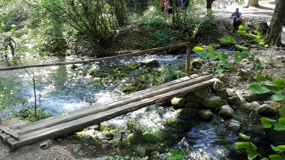 Pentru a ajunge la Lacul Ochiul Beiului trebuie să treci un pod din lemn. Sursa foto: Facebook