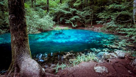 Care este motivul pentru care Lacul Ochiul Beiului nu îngheață niciodată