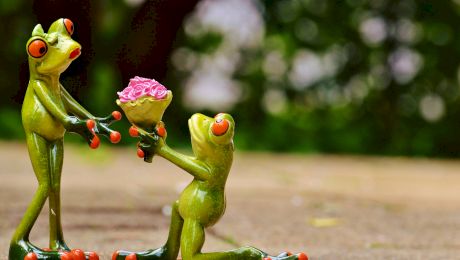 30+ idei de cadouri sub 50 de lei care îi va încânta pe cei care le primesc