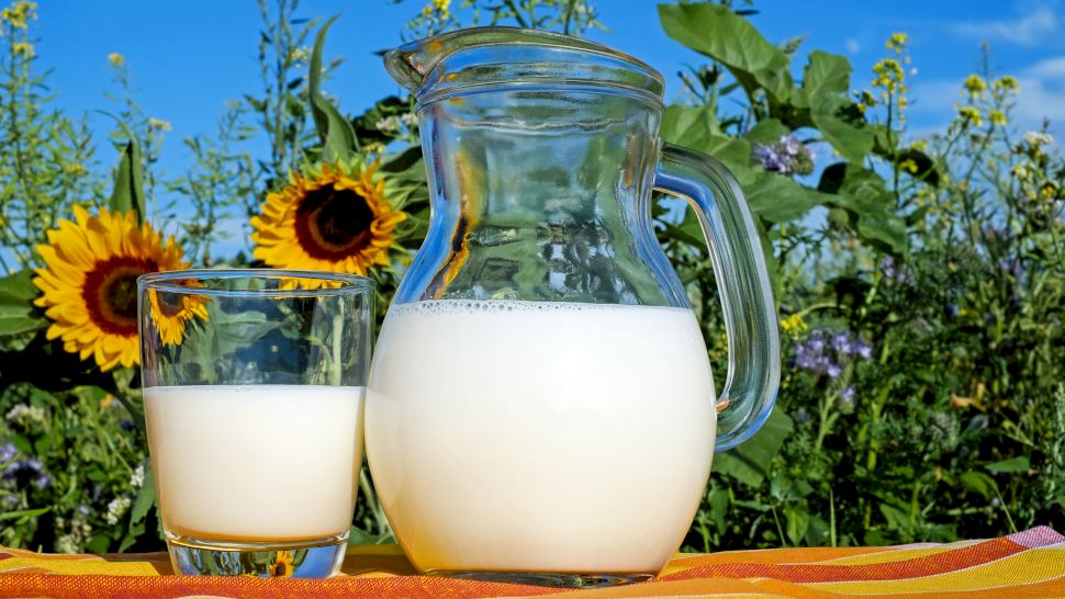 Care este, de fapt, diferența între laptele UHT și cel pasteurizat