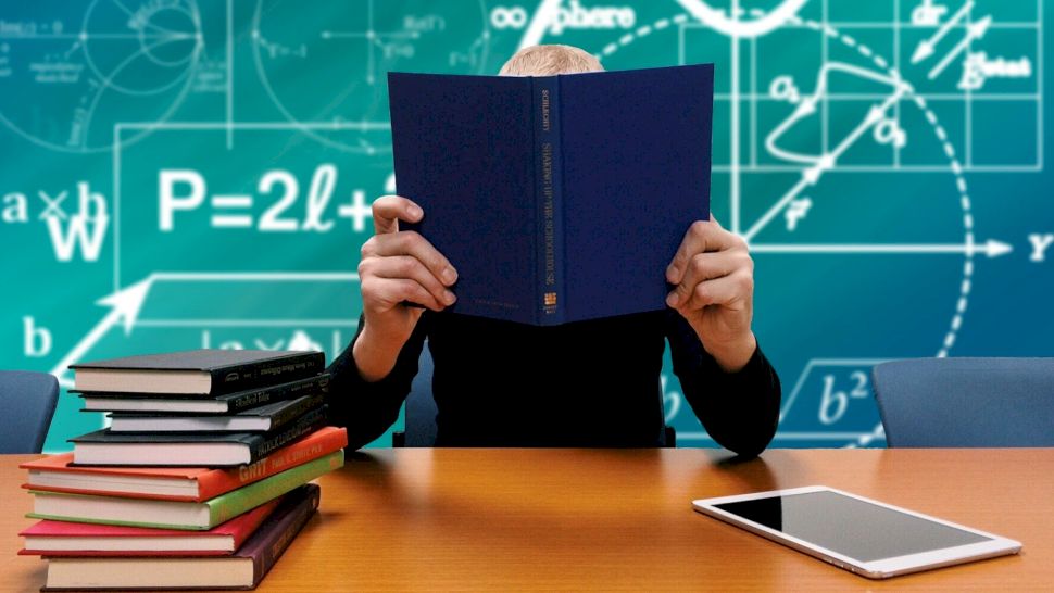 Ce burse au de la stat elevii și studenții care învață exemplar