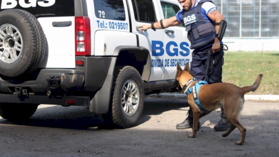 Ce salarii au angajații de la firmele de pază BGS, Civitas sau Securitas