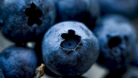 Coacăzele negre vs. coacăzele roșii. Care sunt diferențele dintre ele