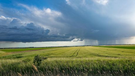Subvenții APIA. Câți bani se dau pentru un hectar și ce culturi sunt cele mai răsplătite
