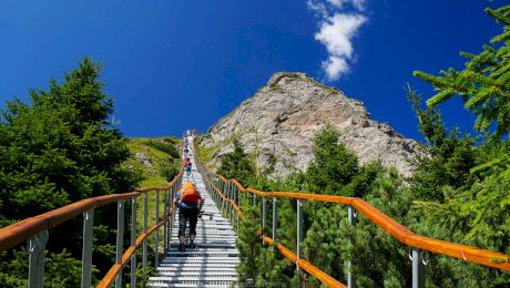 Vârful Toaca: traseu, activități imagini superbe, cazare