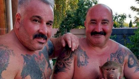 Sile Cămătaru: CV, vârstă, greutate, înălțime, afaceri, cazier, familie, nume real