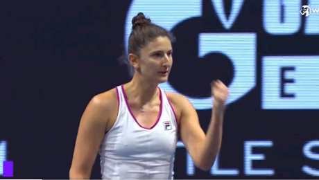 Irina Begu: CV, biografie, vârstă, înălțime, afaceri, trofee, familie