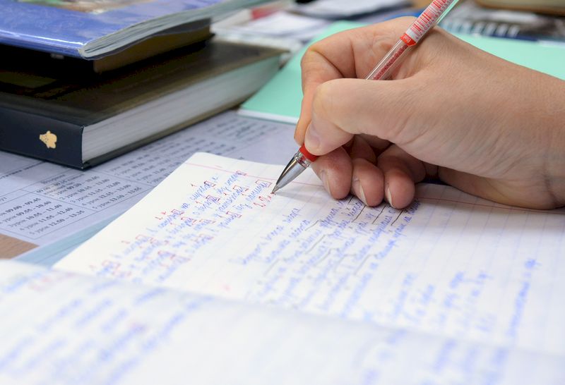 Baremul de corectare la Limba şi literatura română, la Evaluarea Naţională 2022. Ce trebuia să scrii pentru nota 10 la Capacitate