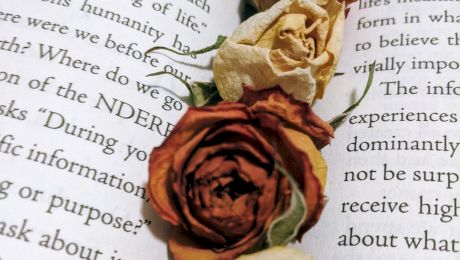 Cele mai frumoase 10 semne de carte pe care să le faci cadou. Galerie FOTO