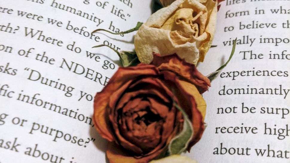 Cele mai frumoase 10 semne de carte pe care să le faci cadou. Galerie FOTO