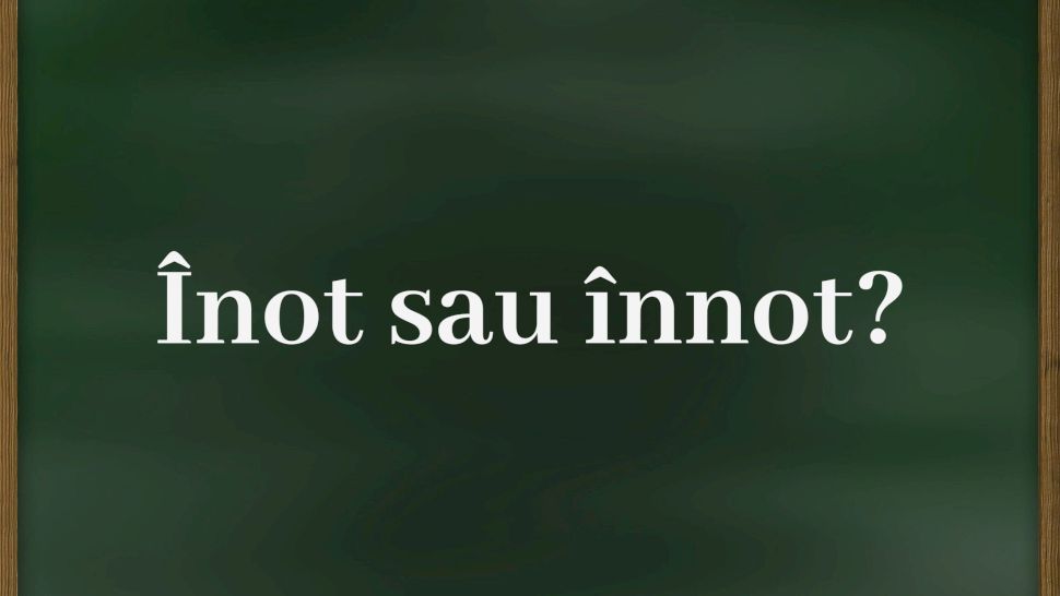 Înot sau înnot? Cum se scrie corect gramatical