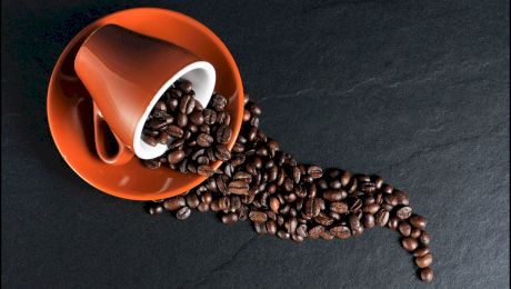 Ce este mai bună: Cafea Arabica sau Cafea Robusta?