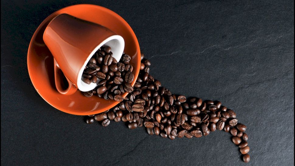 Ce este mai bună: Cafea Arabica sau Cafea Robusta?