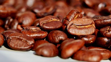Cafeaua organică vs cafeaua convențională – Care este mai bună pentru tine?