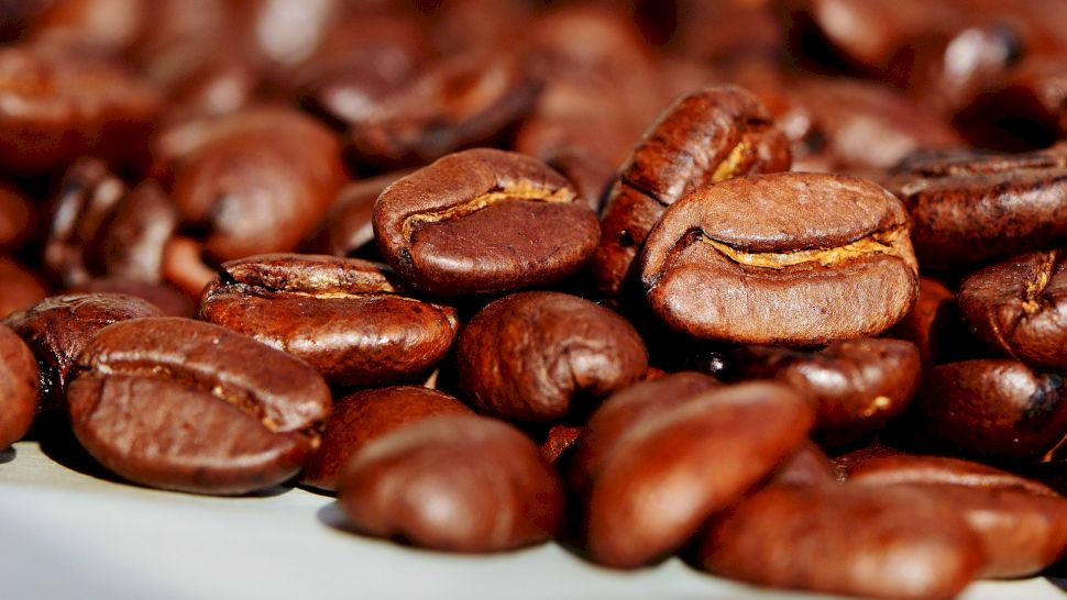 Cafeaua organică vs cafeaua convențională - Care este mai bună pentru tine?