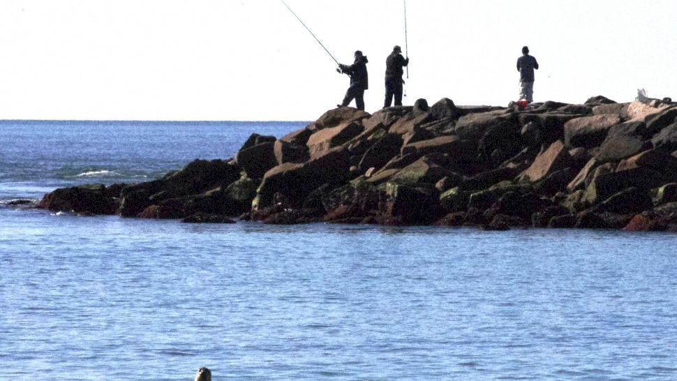 Pescuitul în mare: ghidul complet pentru începători