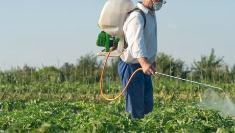 Cât timp trebuie să nu plouă după erbicidare? Sfaturi pentru tratamente eficiente