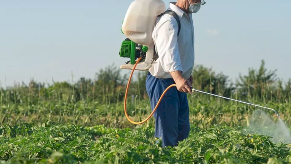 Cât timp trebuie să nu plouă după erbicidare? Sfaturi pentru tratamente eficiente