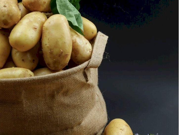 Când să punem cartofii în pământ? Ghid pentru o recoltă bogată