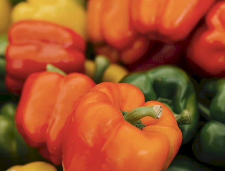 Boala petelor de bronz la ardei: Cauze și tratamente eficiente