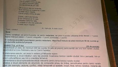 Subiecte Bacalaureat 2024. Ce a picat la examenul de la Limba şi literatura română