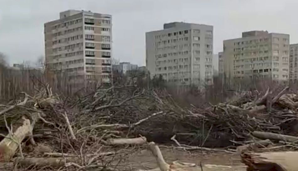 Imagini APOCALIPTICE cu parcul IOR. Toată mini-pădurea a fost tăiată fără milă, iar locul arata ca un câmp