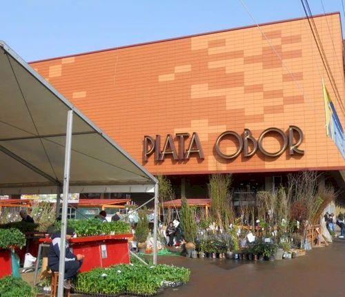 Cât a ajuns să coste carnea de miel, cu 2 săptămâni înainte de Paște. Scumpiri colosale la Piața Obor