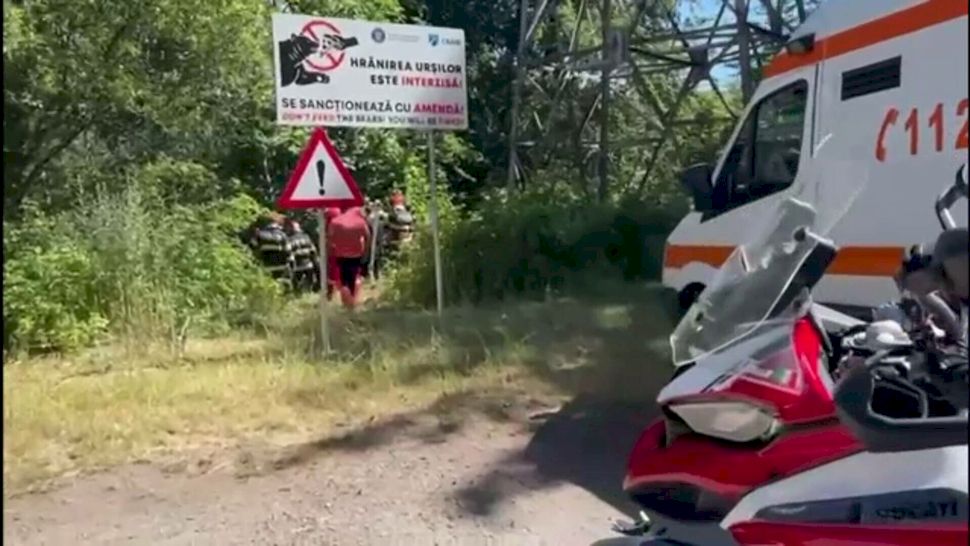 Tragedie pe Transfăgărășan: un motociclist a fost ucis de un urs în apropiere de barajul Vidraru