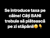 Șoc pentru stăpânii de animale! Se bagă taxă pe câine. Cât vei plăti pe zi