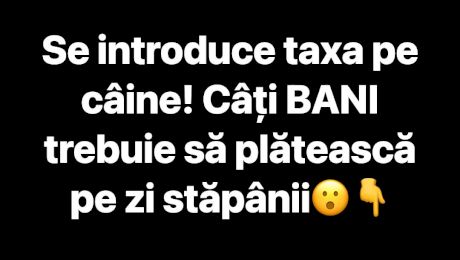 Șoc pentru stăpânii de animale! Se bagă taxă pe câine. Cât vei plăti pe zi