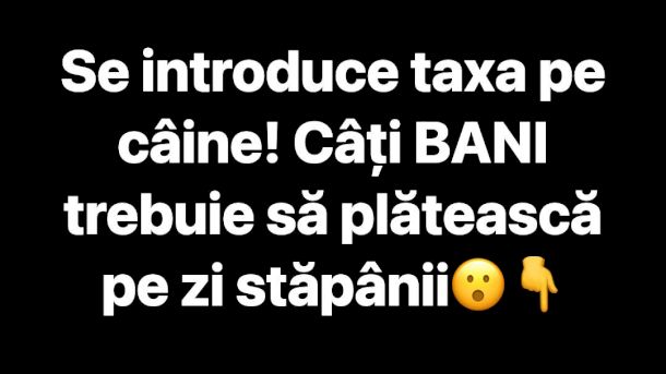 Șoc pentru stăpânii de animale! Se bagă taxă pe câine. Cât vei plăti pe zi