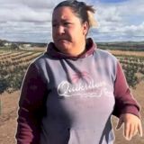 O româncă oferă salariu de 100 de euro pe zi în Spania. Are nevoie de 30-40 de persoane