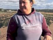 O româncă oferă salariu de 100 de euro pe zi în Spania. Are nevoie de 30-40 de persoane