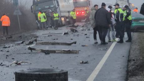 Primele ipoteze după tragedia din Timiș. Ce se afla pe șosea în momentul impactului. Martorii…