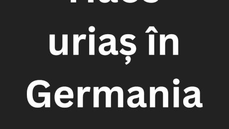 Haos uriaș în Germania. Un român…Vezi mai mult