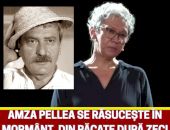 Asta mai lipsea! Anunțul cutremurător făcut de Oana Pellea după zeci de ani de la moartea marelui actor Amza Pellea. Din păcate…Vezi mai mult