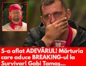 Alberto Hangan explică de la ce porneau certurile cu Gabi Tamaș. Ce se întâmpla în spatele camerelor, la Survivor: „Nu avea tupeu să-i comenteze nimeni. Încercam să îl ignor”