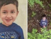Cum a supraviețuit Alexandru, copilul dispărut din Sibiu, două nopți în pădure. Tatăl copilului rupe tăcerea: „Mă gândesc că asta l-a și ajutat”