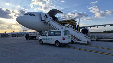 România exportă peste 4.000 de oi în Algeria cu avioane cargo! Țara africană se bazează exclusiv pe piața românească