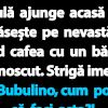 BANC | Bulă se întoarce acasă și descoperă o surpriză neașteptată